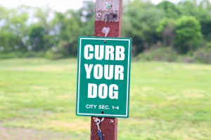 Curb Your Dog Sign - PHOTOBER - Free Photos Free Images for all